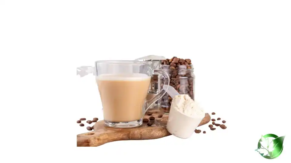 Bulk Coffee Creamer | Suppliers | Wholesale | ParsaFood Global